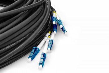 Digitus 8-fibers breakout-kabel, SM G.657.A1, för nätverksapplikationer Svart breakout-kabel för nätverk med blå och vita kontakter i närbild.