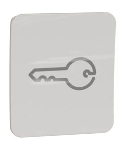 Schneider Electric Exxact strömbrytarvippa med nyckelsymbol Ljus rektangulär strömbrytarvippbrytare med en grå nyckelsymbol i mitten.